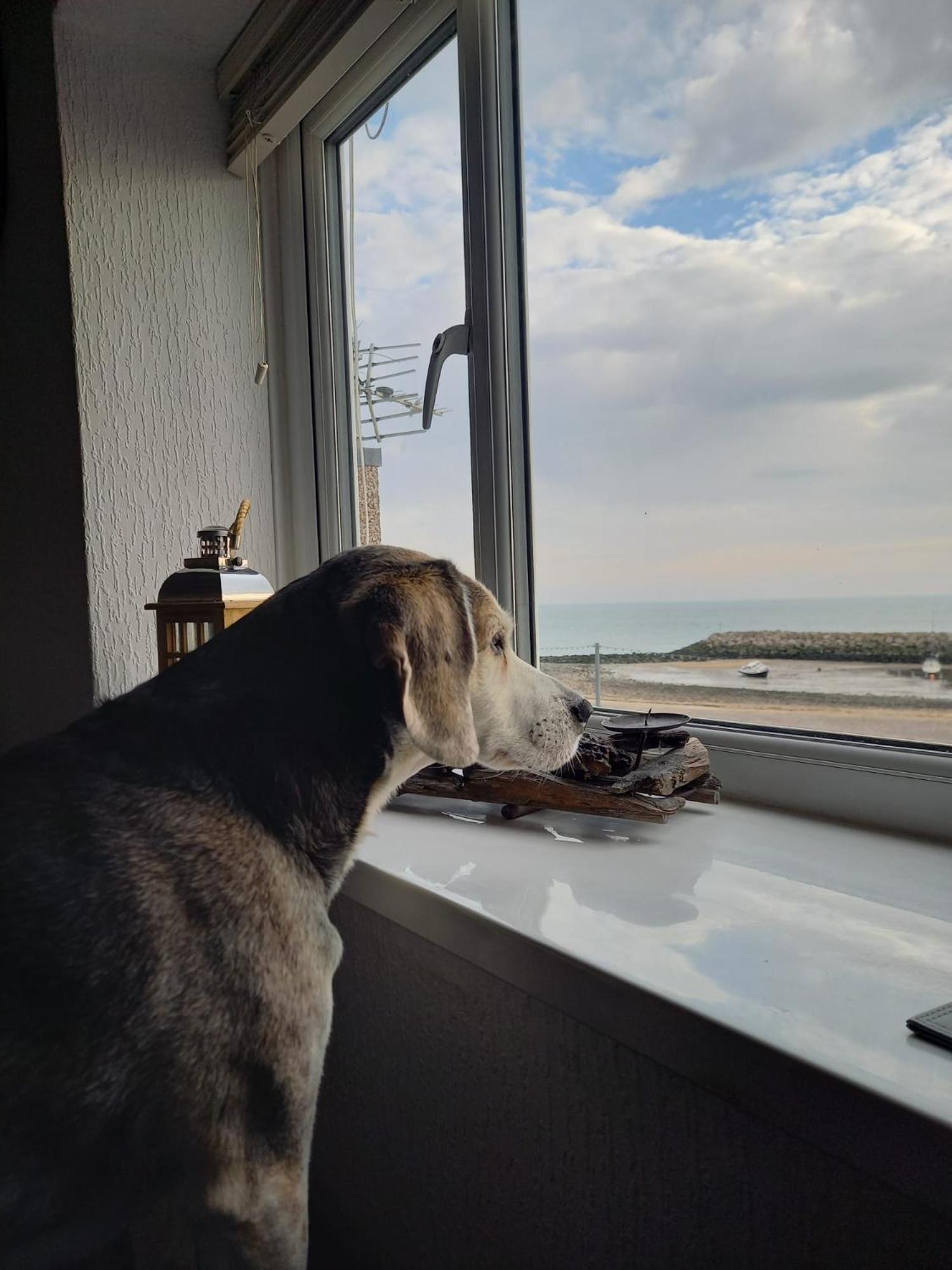 3 Harbour Views Apartment Rhos-on-Sea Bagian luar foto